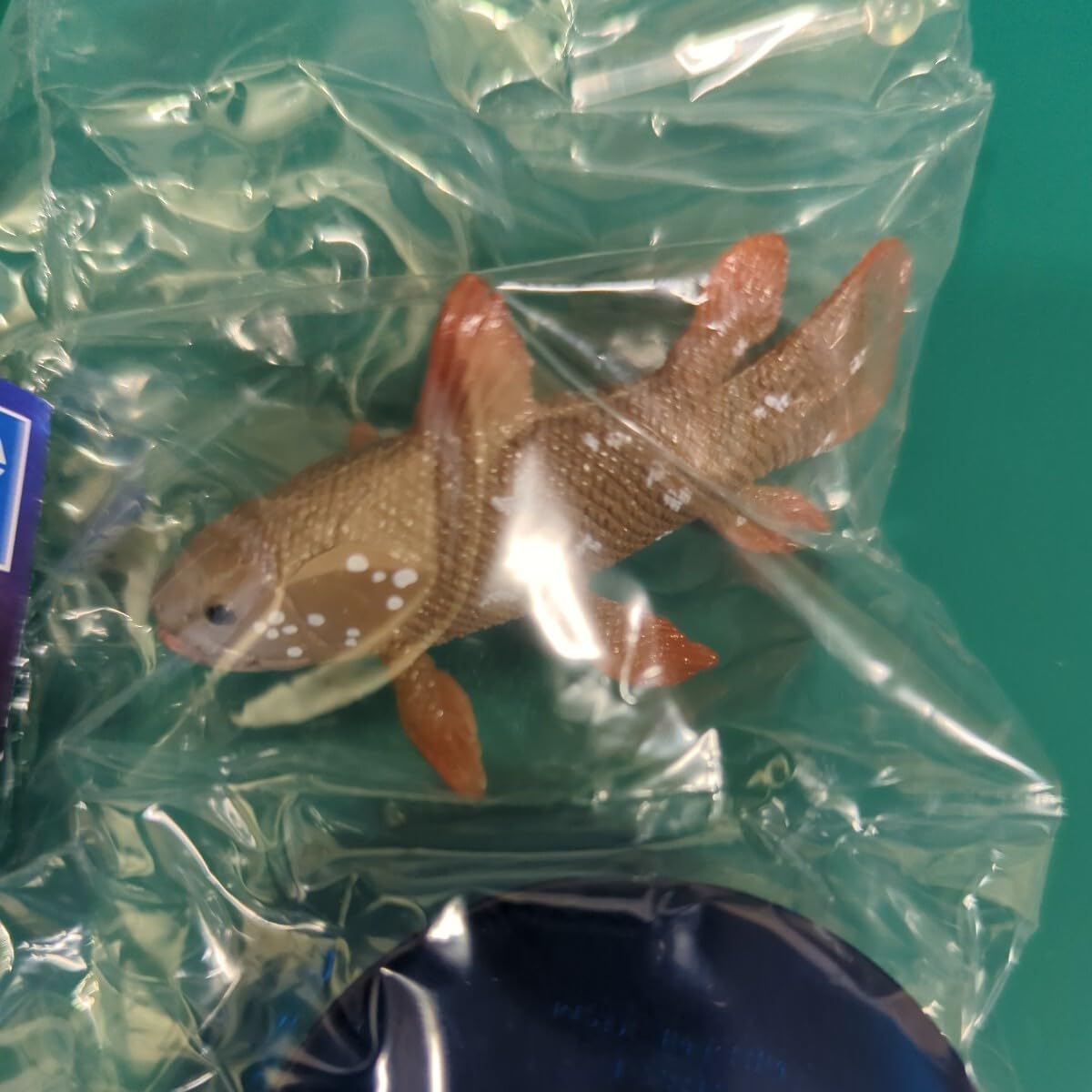 Amazon.co.jp: アーツ 不思議生物大百科 深淵の放浪者 深海魚II